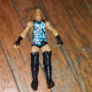 Wwe action figures rov an dan